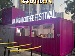 -陆家嘴中心绿地