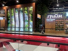 -谢列梅捷沃国际机场