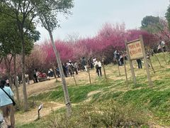 -蜀冈西峰生态公园