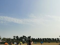 -春花秋色城市公园