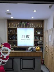 -心联形象设计·流星染