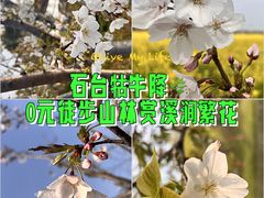 -石台牯牛降景区