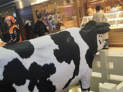 -红星前进面包牛奶公司(君太店)