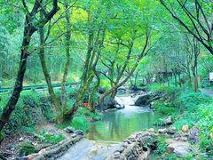 -夏霖九天银瀑风景区