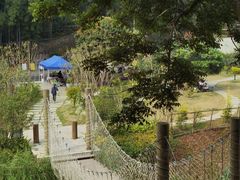-黄埔油麻山森林公园