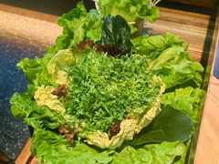 -额尔敦草原涮羊肉·烧烤(冻青树总店)