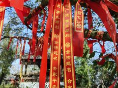 -西湖风景区十里琅珰-五云山