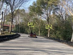 -上海海湾国家森林公园