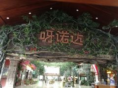 -呀诺达热带雨林