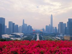 -荔枝公园-小平画像广场