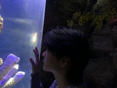 -南昌海洋公园