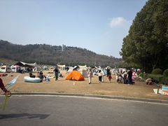 -羊山湖公园