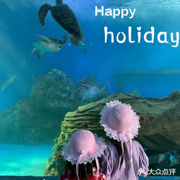 五一假期3⃣️广东小垦丁—惠州海龟岛🐢