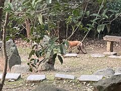 -南京市江宁方山