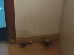 -朴氏韩国料理(北欧丽景店)