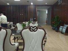 -桃仙机场头等舱休息室
