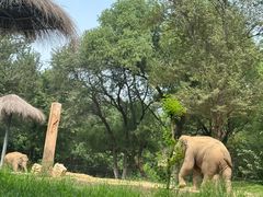 -北京野生动物园