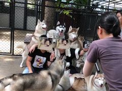 -TrueLove @ Neverland (Husky Cafe)
