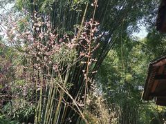 -成都杜甫草堂博物馆