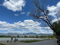 -野鸭湖国家湿地公园