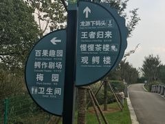 -中国扬子鳄村