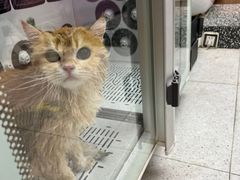 -FAELING PETS美天灵宠物(富力广场店)