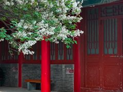 -西安碑林博物馆
