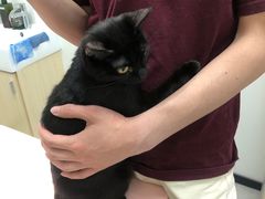 -爱诺耐芙动物医院(万博店)