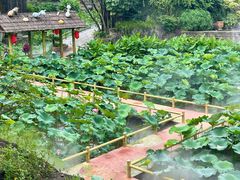 -广州莲花山旅游区