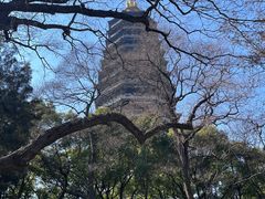 -红梅公园