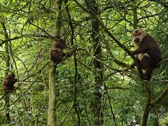 -西岭雪山大飞水景区