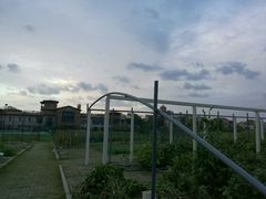 -上海崇明金茂凯悦酒店