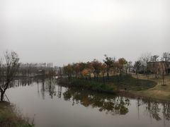 -上海长兴岛郊野公园