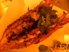 -Red Lobster
