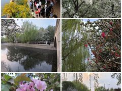 -海棠花溪(元大都城垣遗址公园)