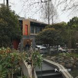 樱花和鹤公馆很配哦