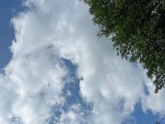 -本溪汤沟绿石谷森林公园