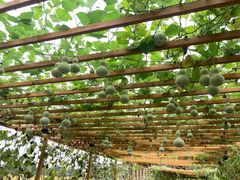 -中国天府农业博览园