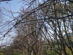 -两江国际影视城