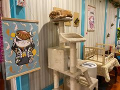 -猫小院猫主题咖啡厅(北锣店)