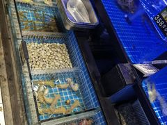 -诺鲜酒店(月河店)