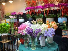 -双季花艺园艺市场(浦东店)
