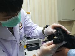 -宠爱国际动物医院·疑难骨科·心肾内科·皮肤科(太阳宫店)