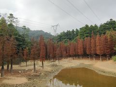 -广州市帽峰山景区