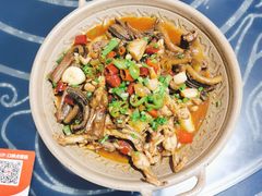 -龙小海荆沙鸽子店(瑞安街店)