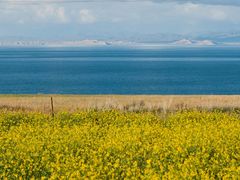 -青海湖国家重点风景名胜区