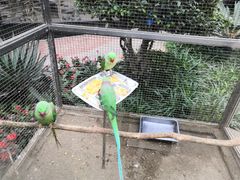 -大连森林动物园