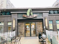 -奈斯宠物医院·核磁CT·异宠专科·内镜(中南店)