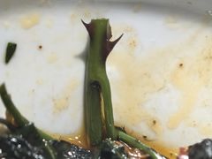 刺五加油炝毛肚-墨江小城故事餐厅