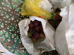 -马陆小张葡萄园农家乐